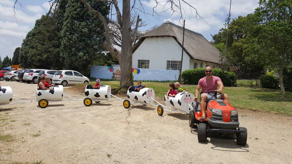 cow barrel train