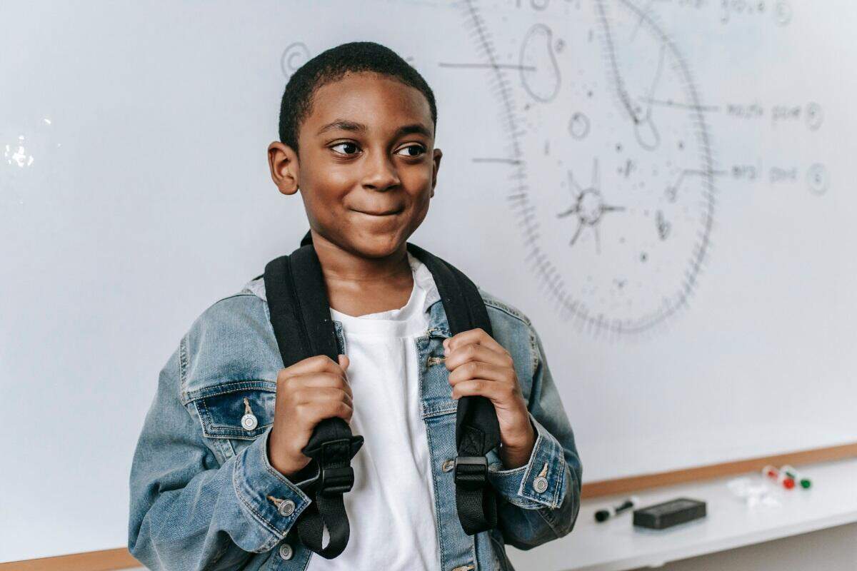CambriLearn