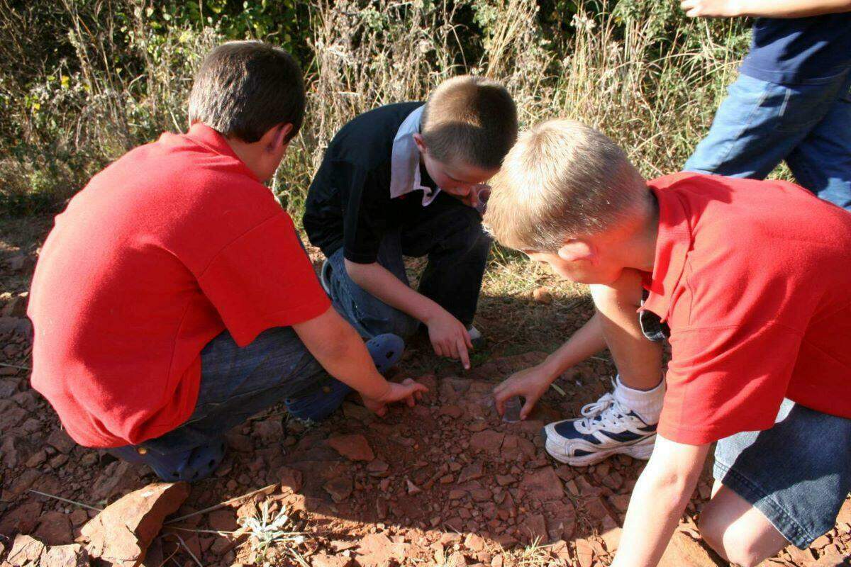 Friends of Kloofendal Nature Reserve