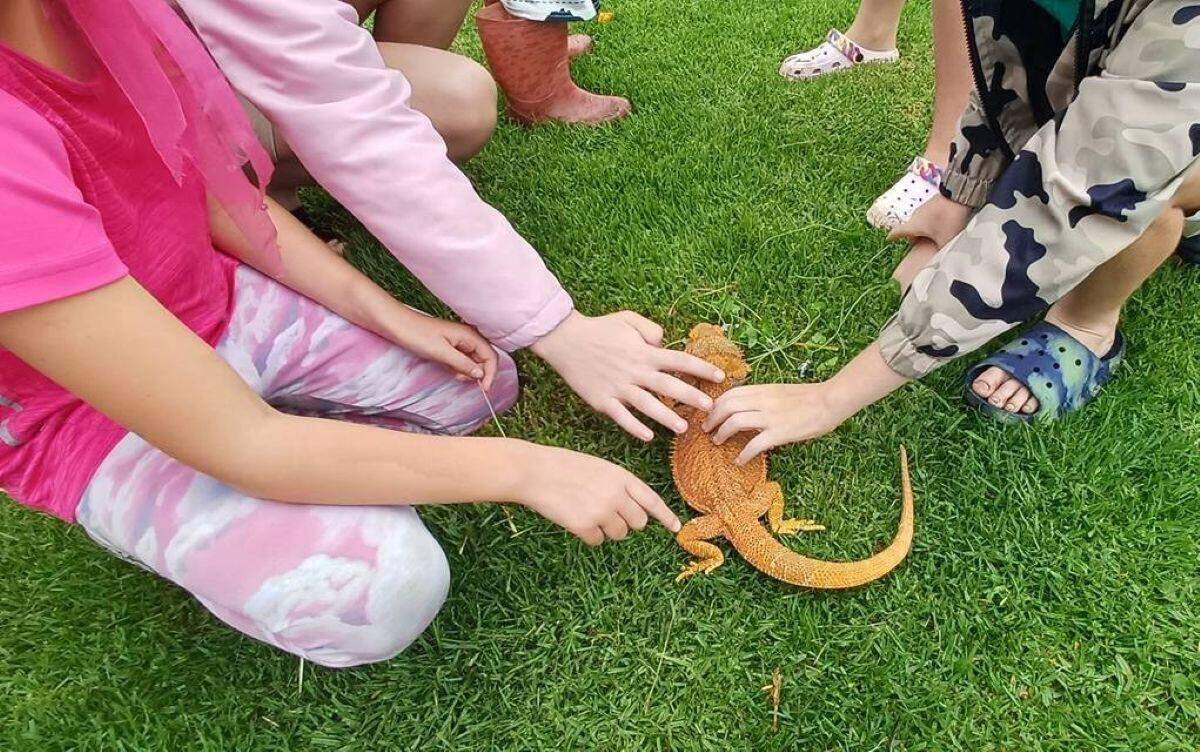 Animals in Wonderland