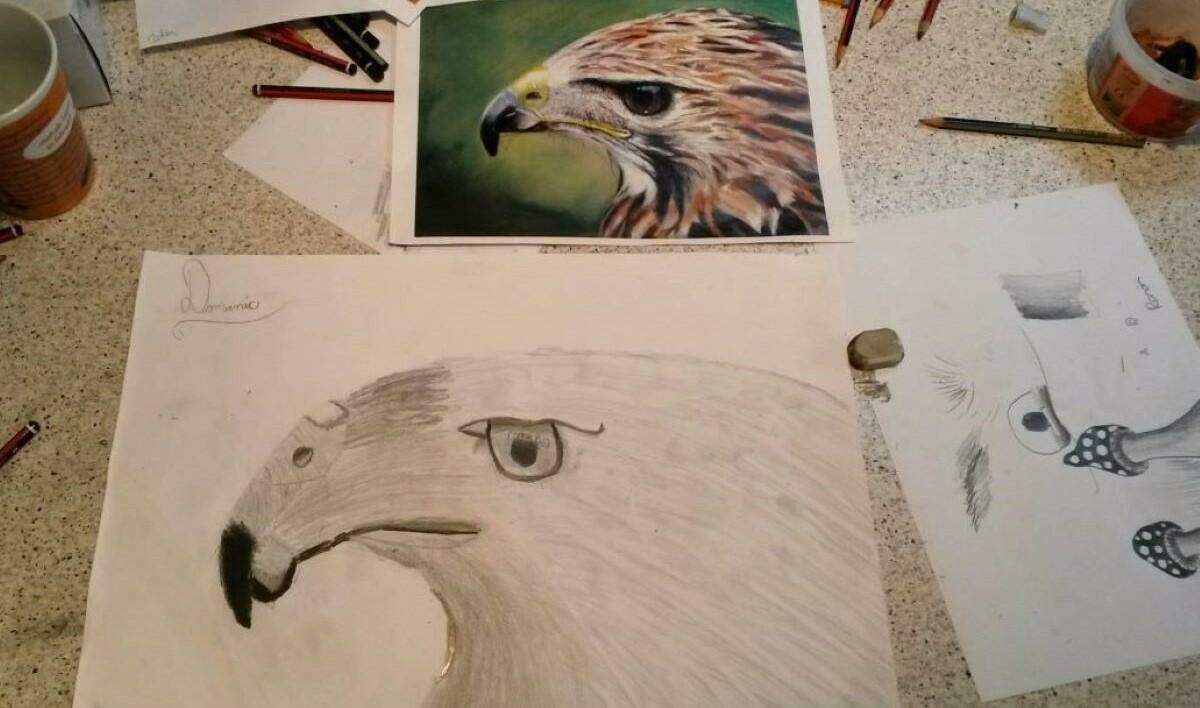 Art Fundamentals