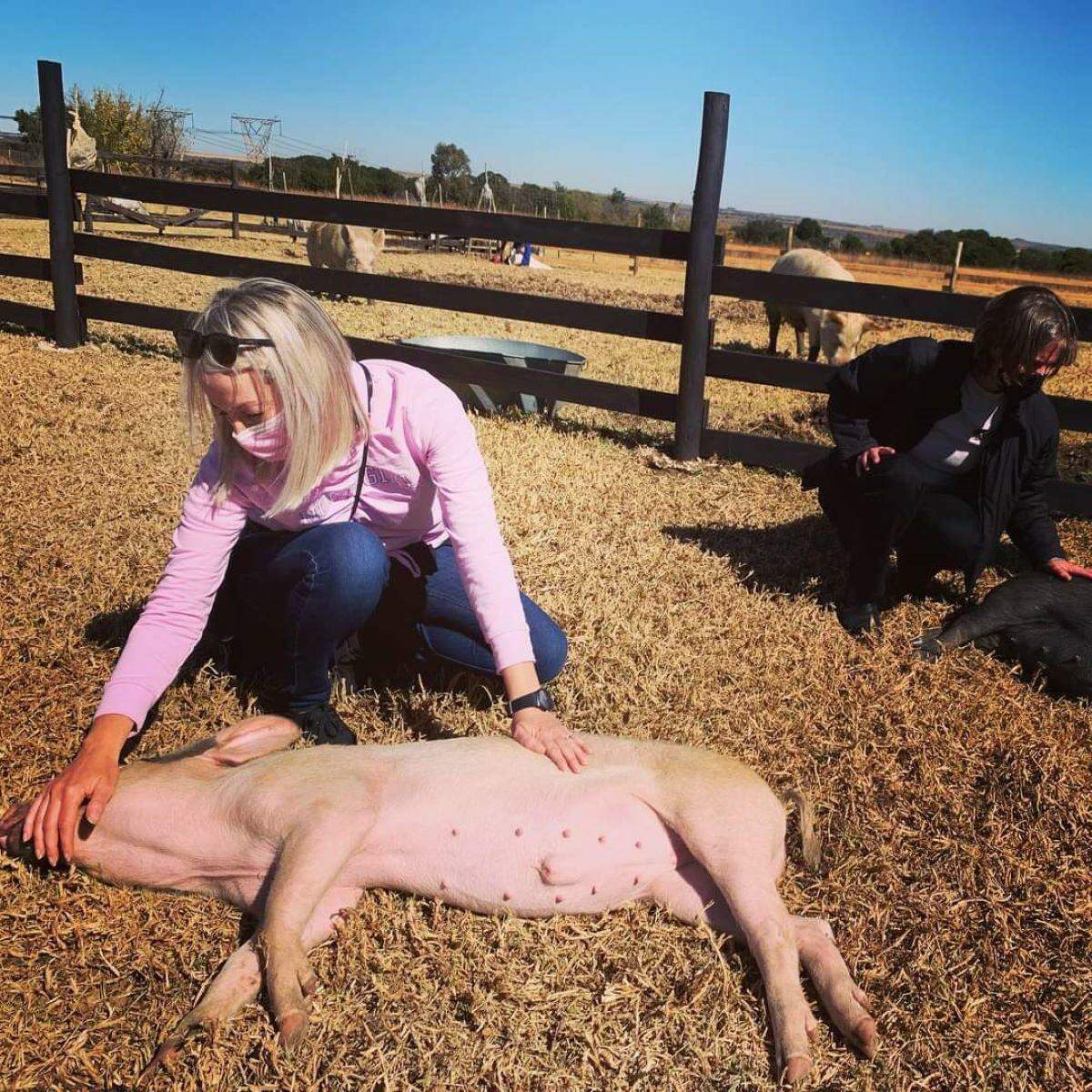 Ashers Farm Sanctuary