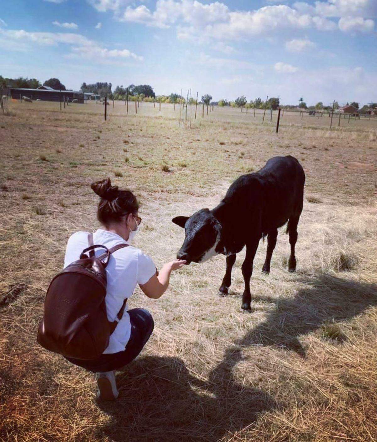 Ashers Farm Sanctuary