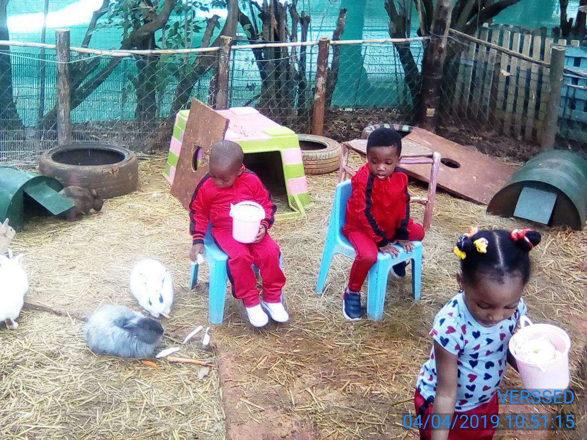 The Bunny Hop Haven