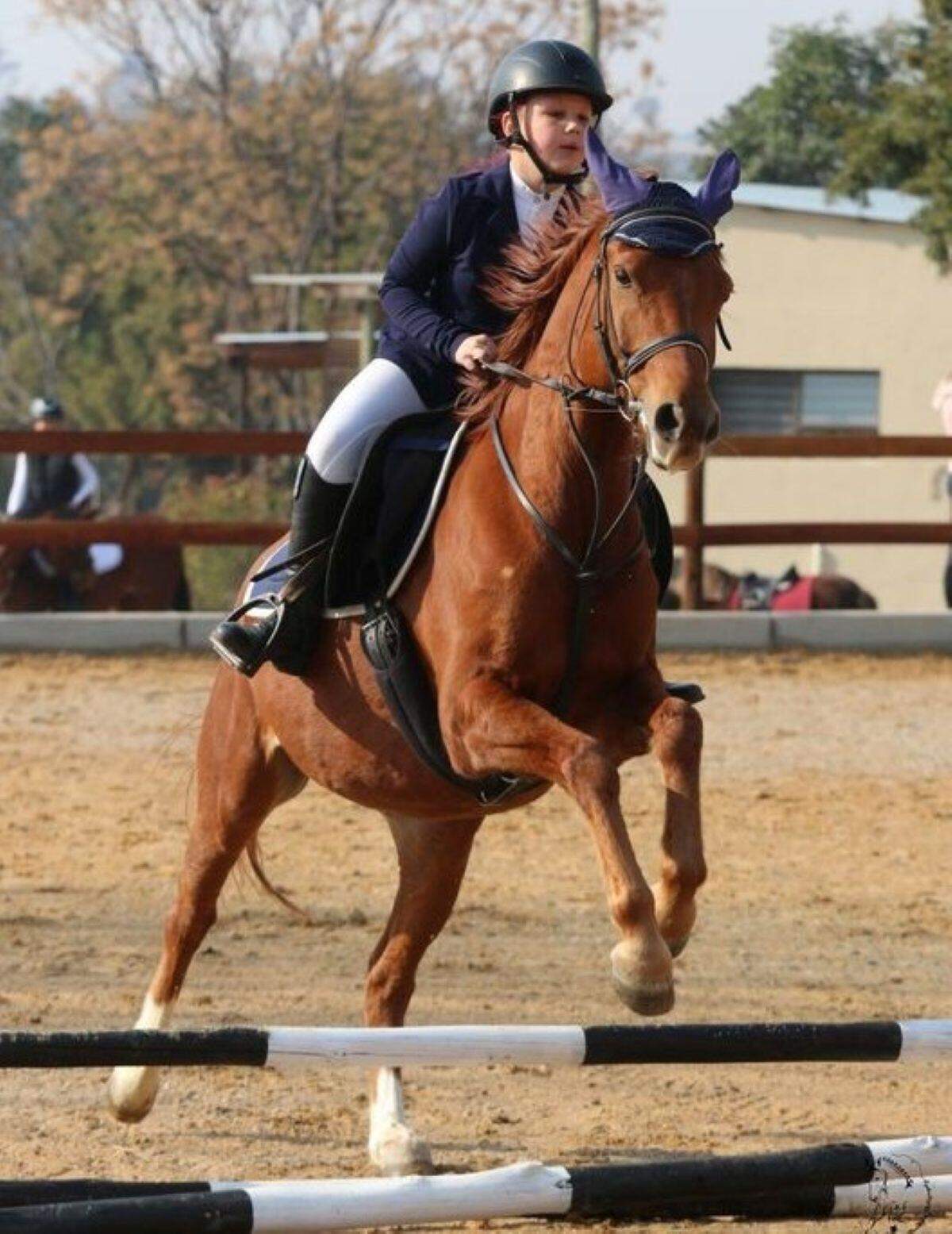 Callahan Equestrian