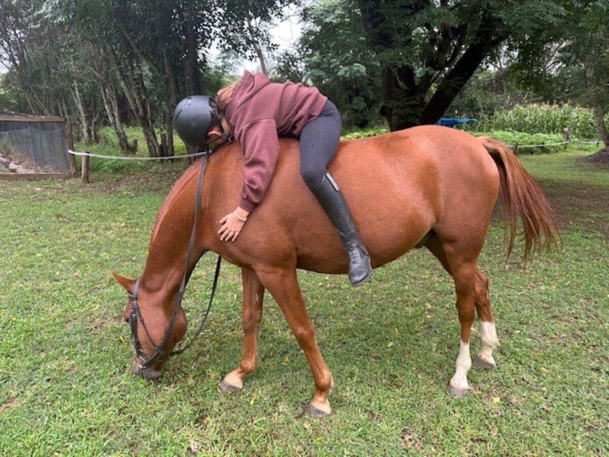 Callahan Equestrian