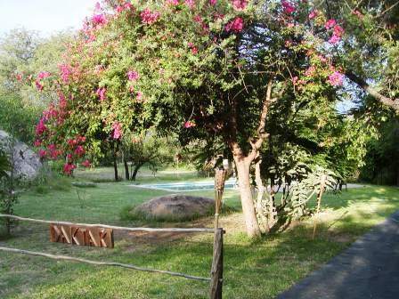 Daktari Wildlife Orphanage