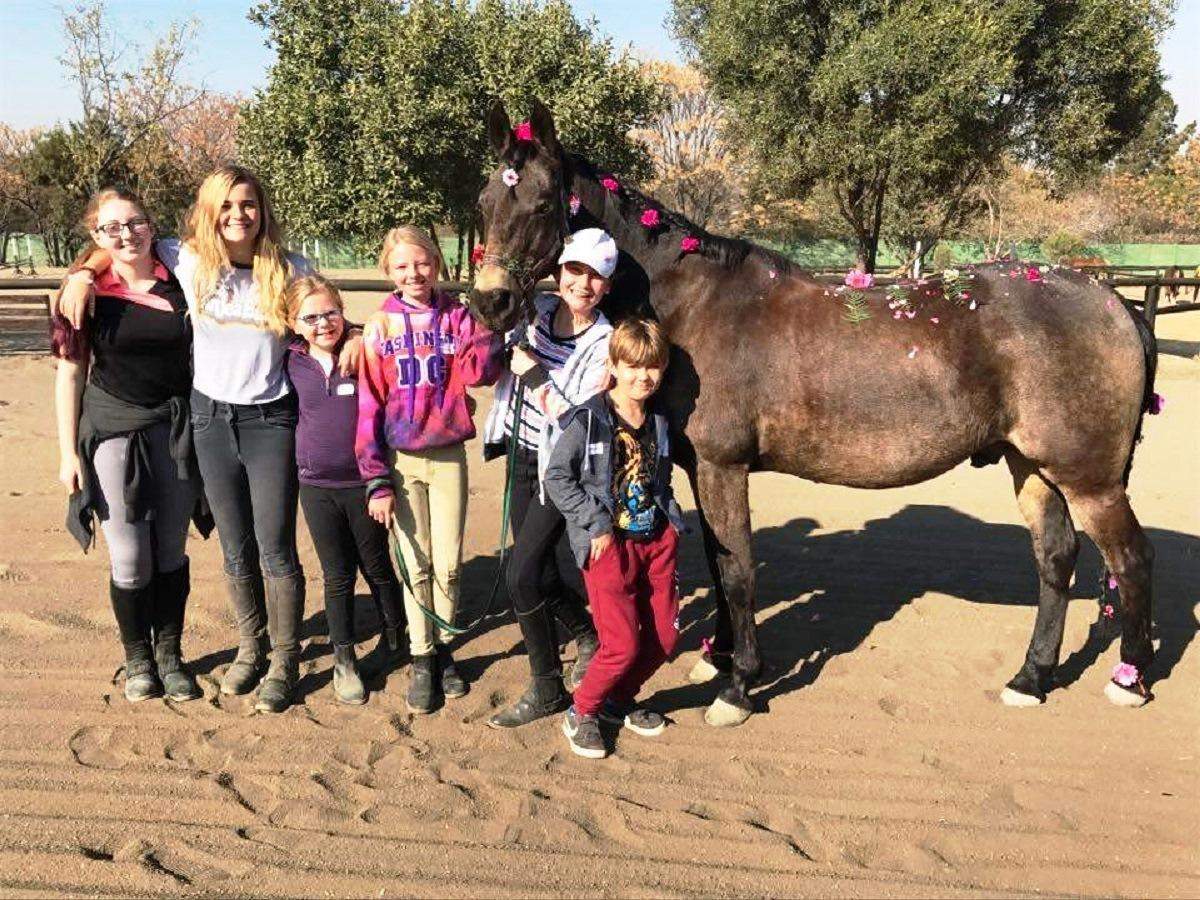 Chartwell Stables Fourways