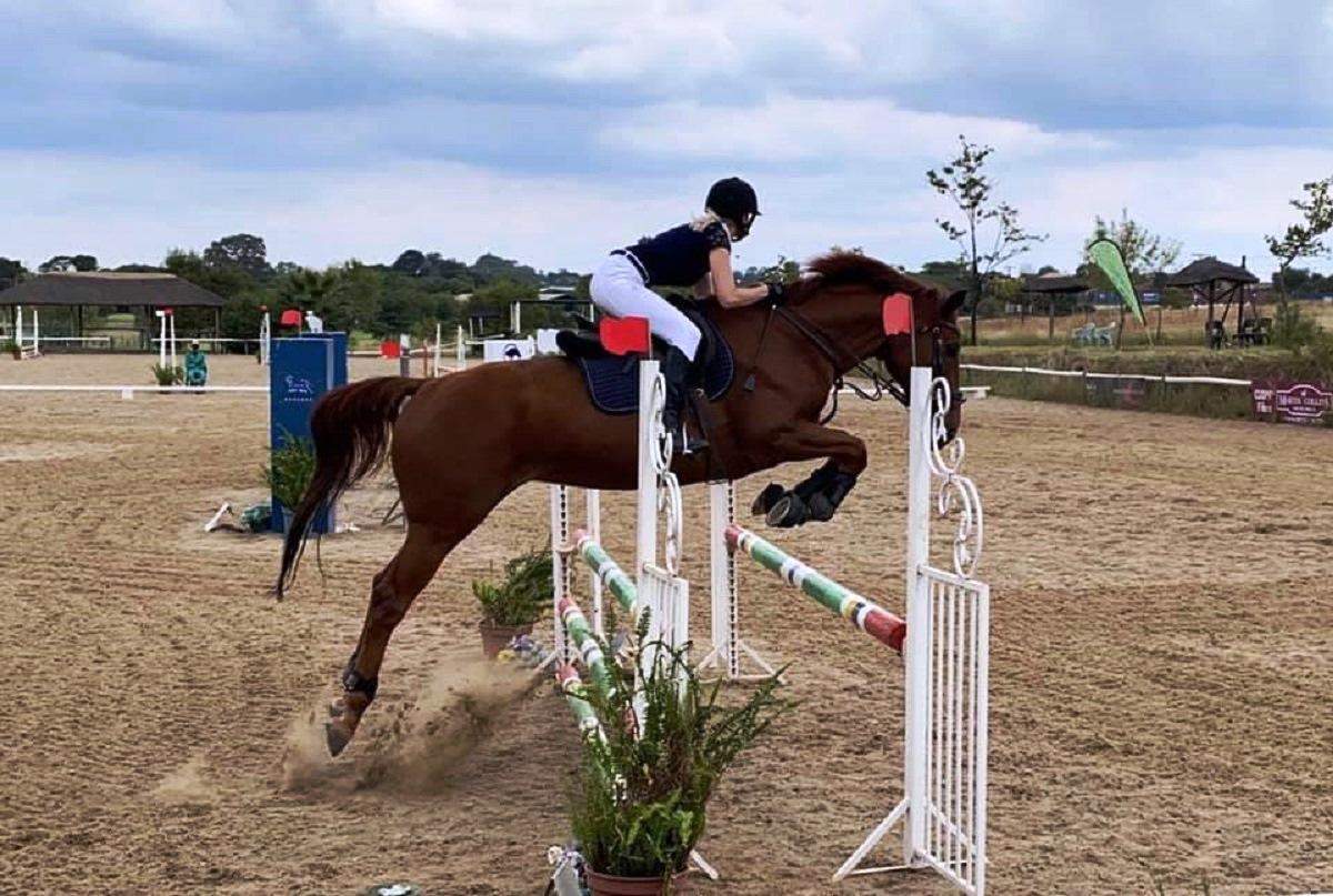 Chartwell Stables Fourways