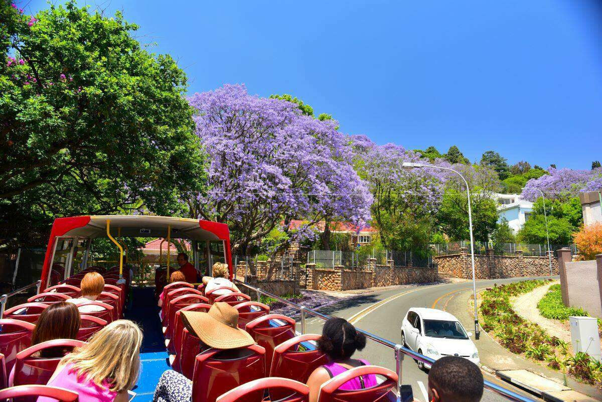 City Sightseeing South Africa Red Bus Tours