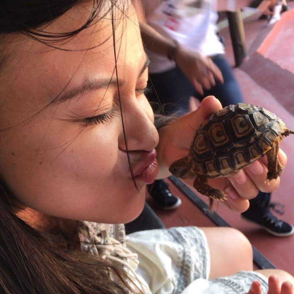 Croc City Crocodile & Reptile Park