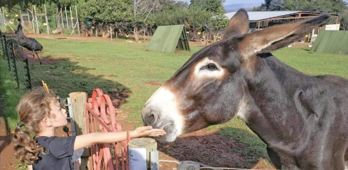 The Donkey Dairy