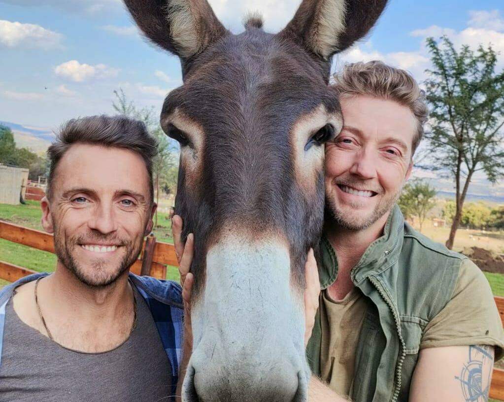The Donkey Dairy