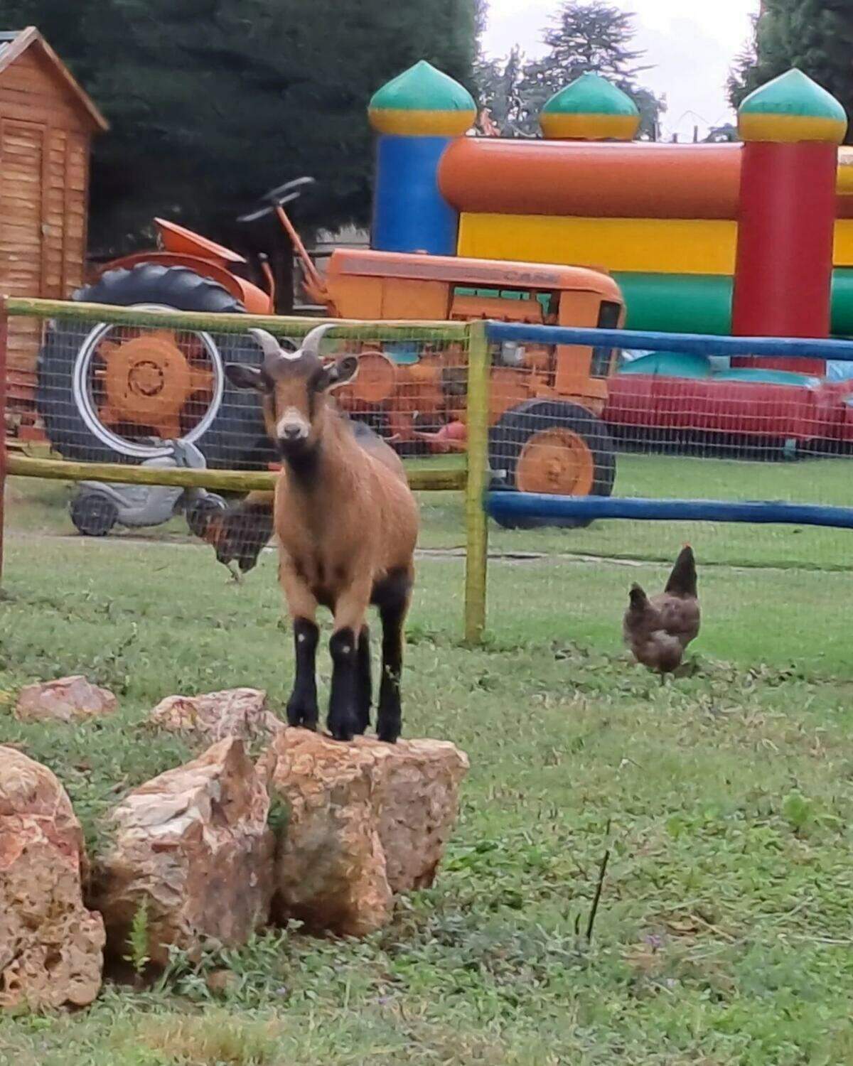 Spaanyard Kids Party Venue