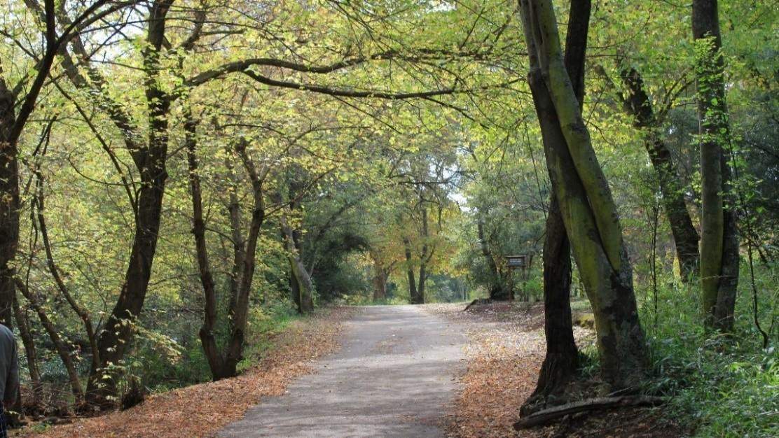 Groenkloof Nature Reserve
