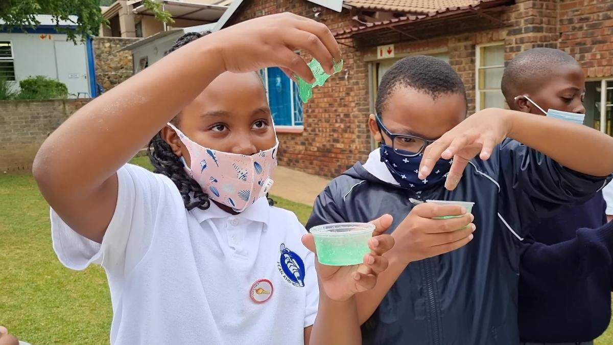 Hands On Science