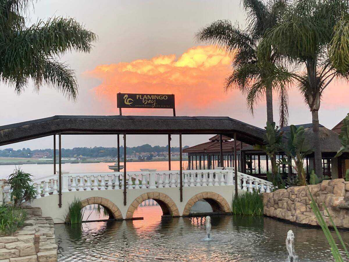 Flamingo Bay