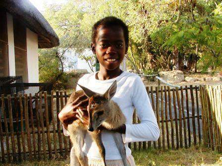 Daktari Wildlife Orphanage
