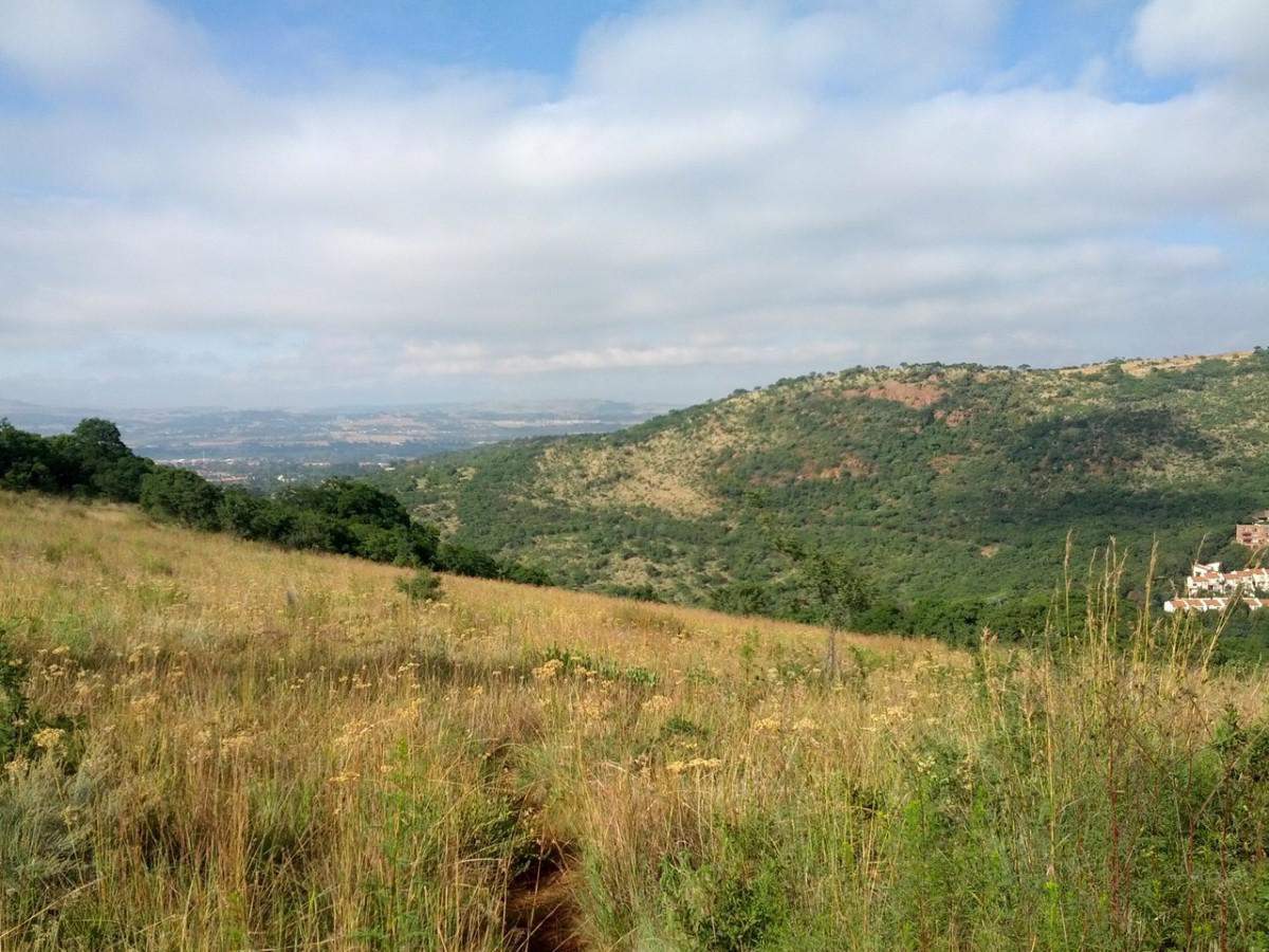 Klipriviersberg Nature Reserve
