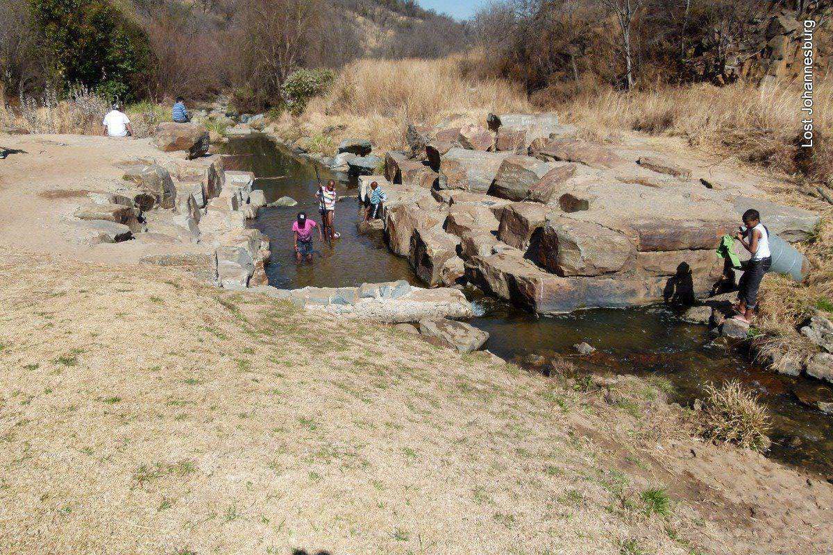 Klipriviersberg Nature Reserve