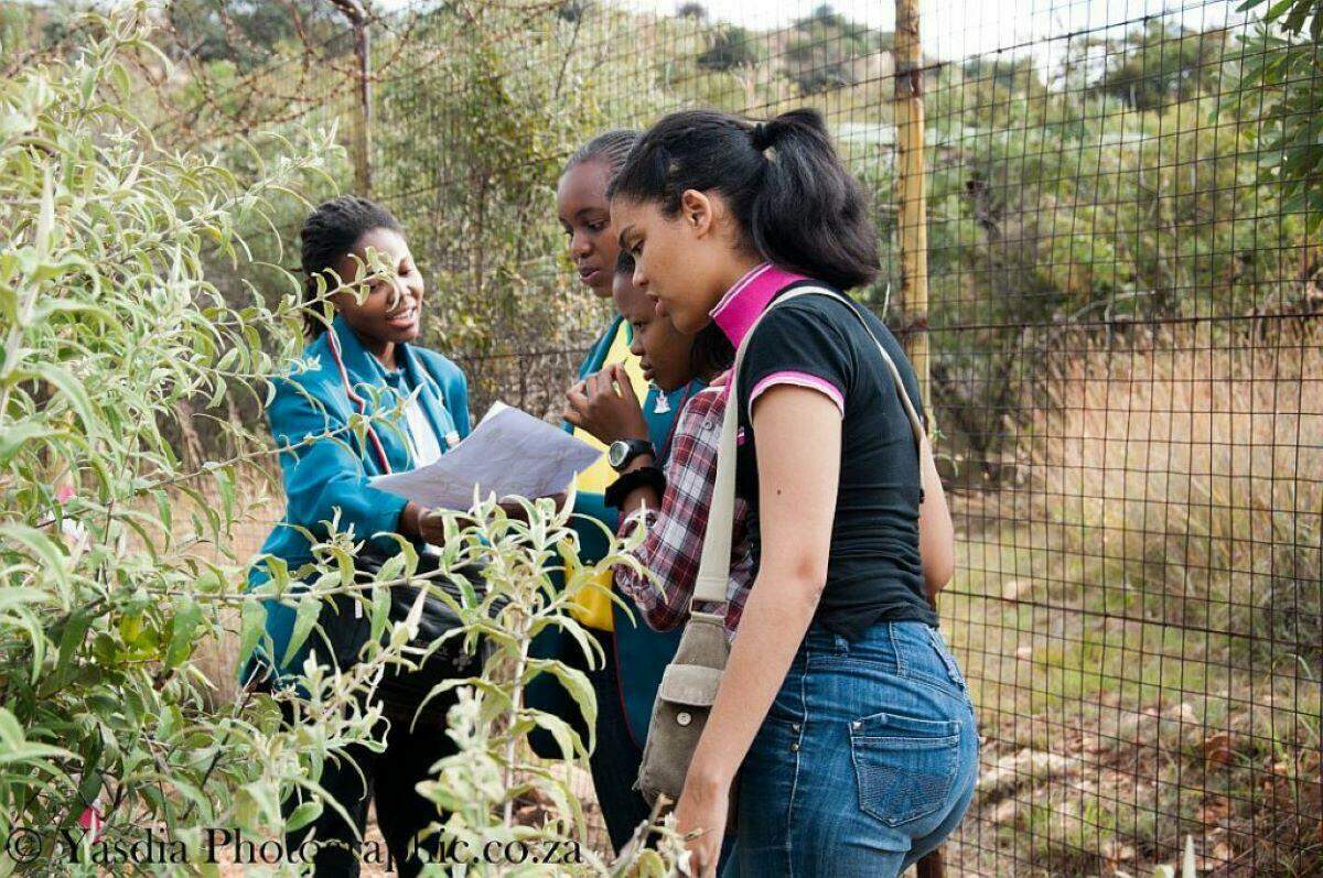 Friends of Kloofendal Nature Reserve