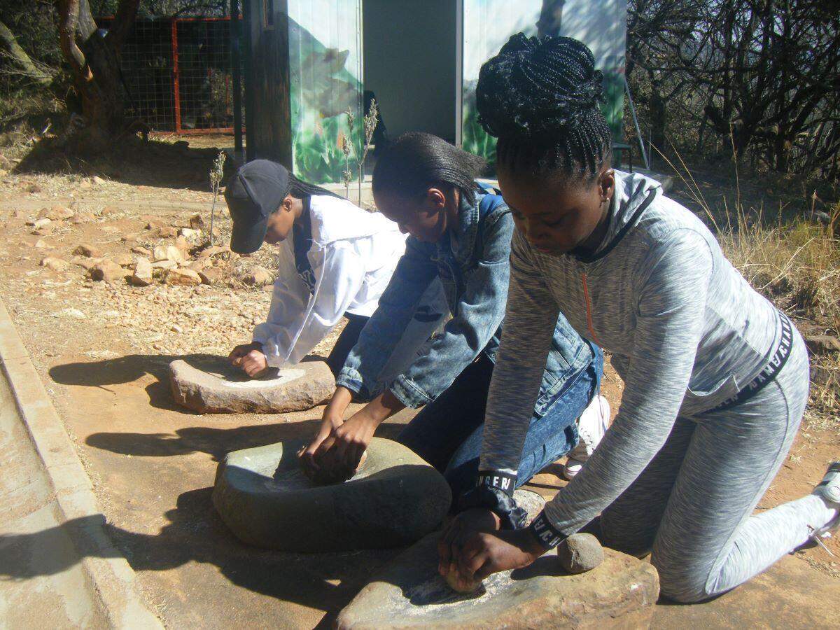 Melville Koppies Nature Reserve