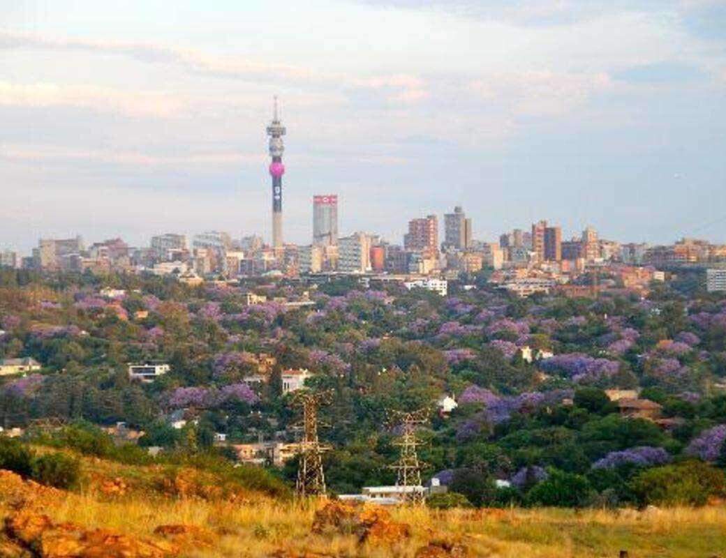 Melville Koppies Nature Reserve