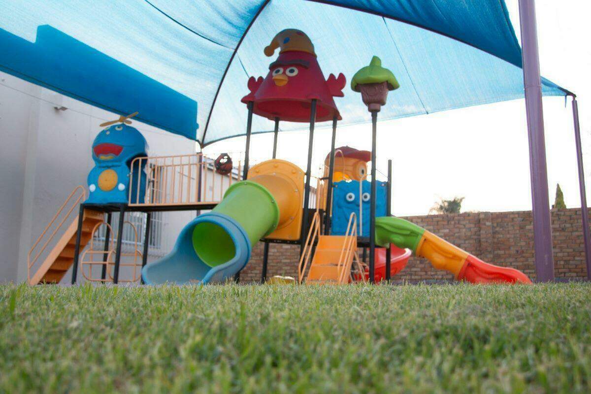 jungle gym with pathway
