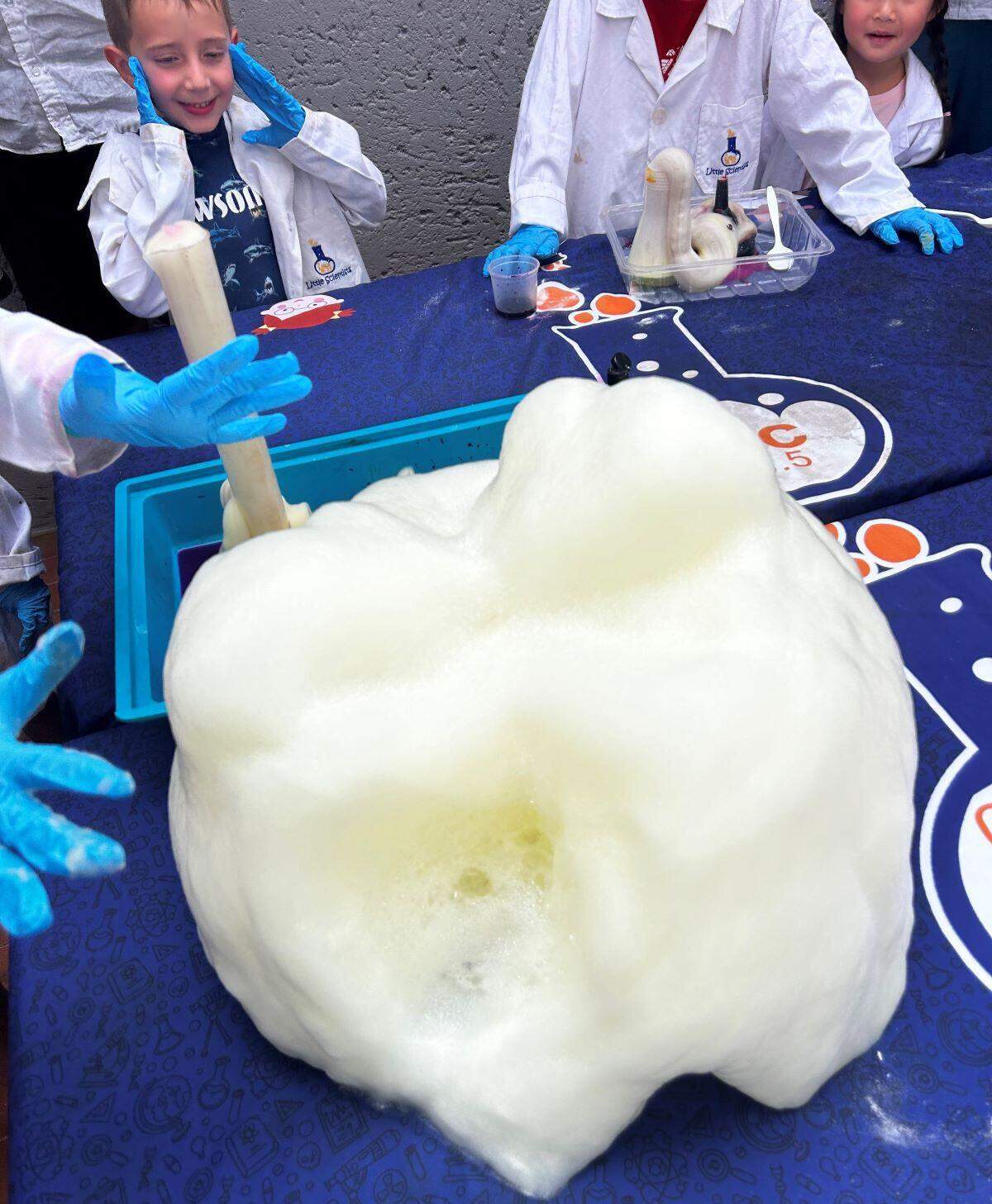 Little Scientists Pty Ltd