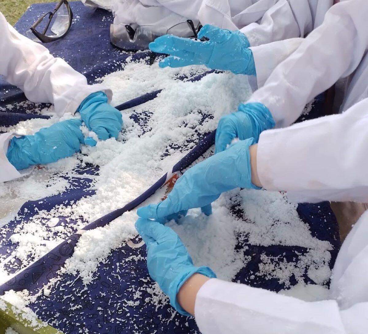 Little Scientists Pty Ltd