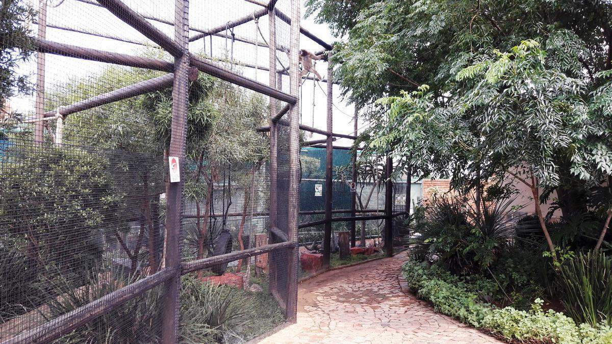 Lory Park Zoo