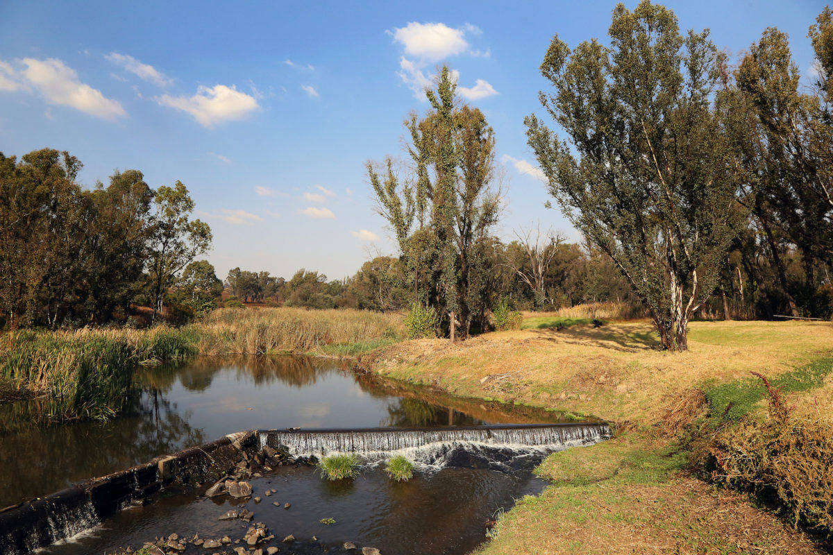 Modderfontein Nature Reserve