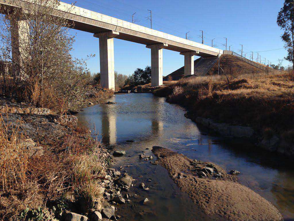 Modderfontein Nature Reserve