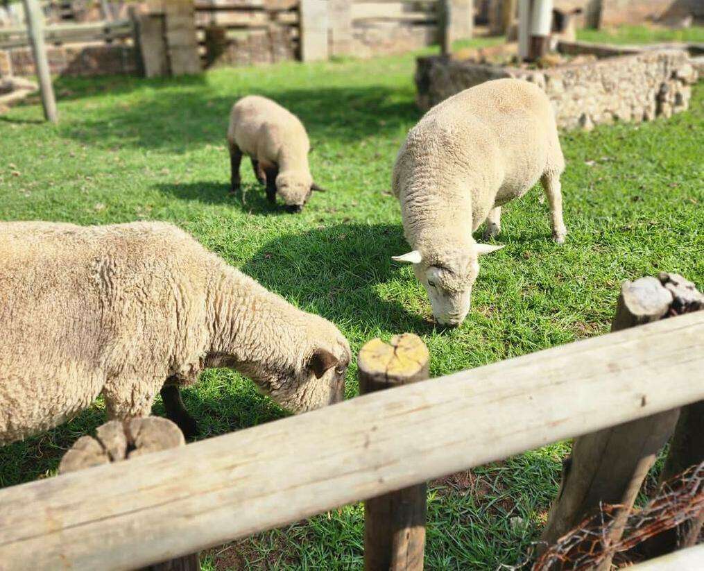 Nature's Way Kids Party Venue