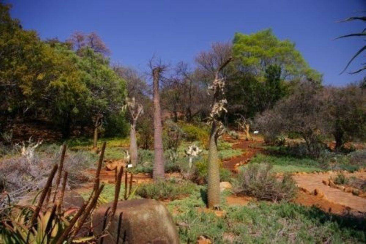 Pretoria National Botanical Garden