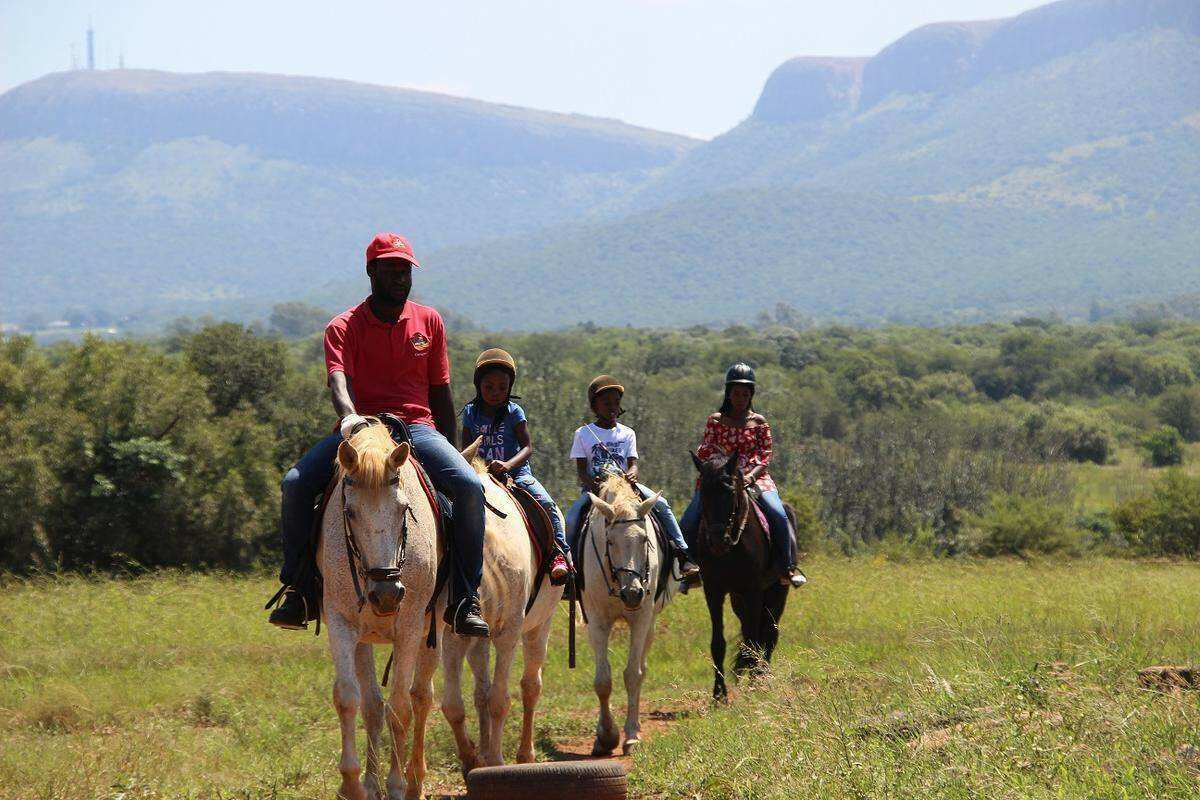 people on horse back horse riding