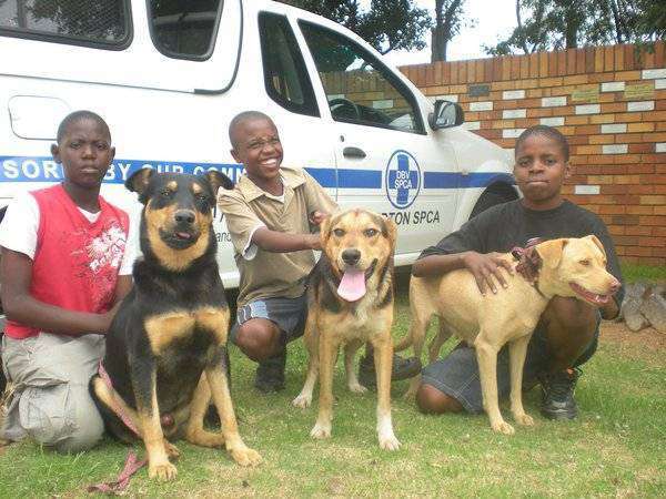 Sandton & Eastern Metro SPCA