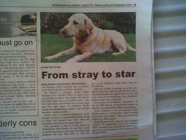 Sandton & Eastern Metro SPCA