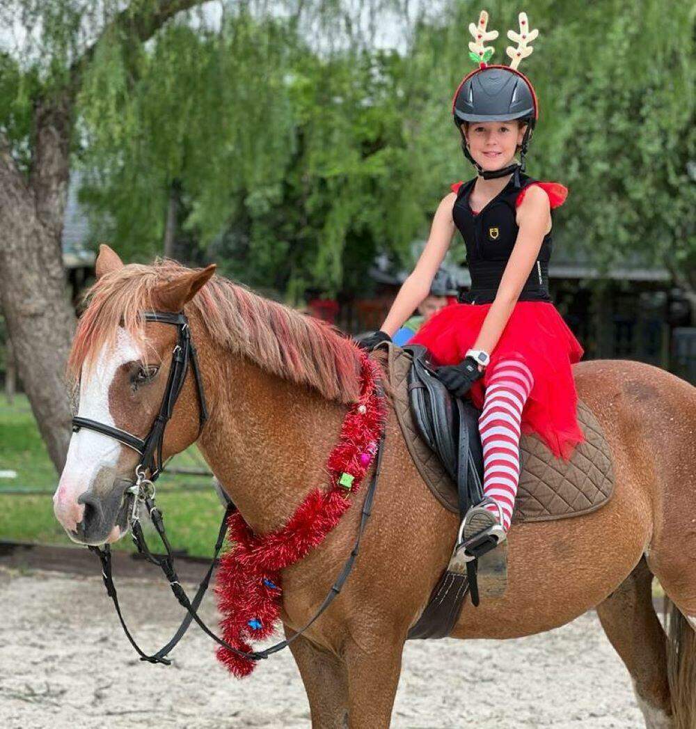 Silvertree Stables