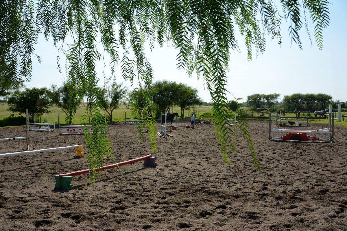 Silvertree Stables
