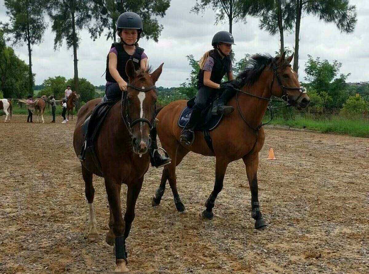 Silvertree Stables