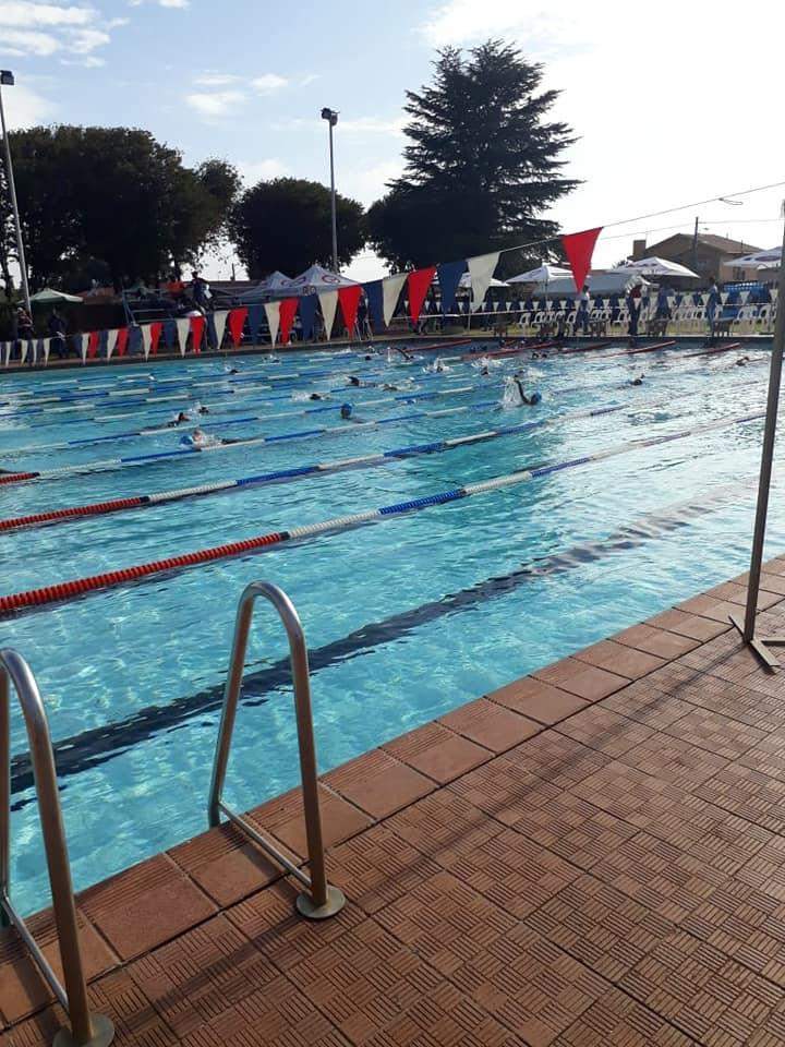 Superfins Swimming