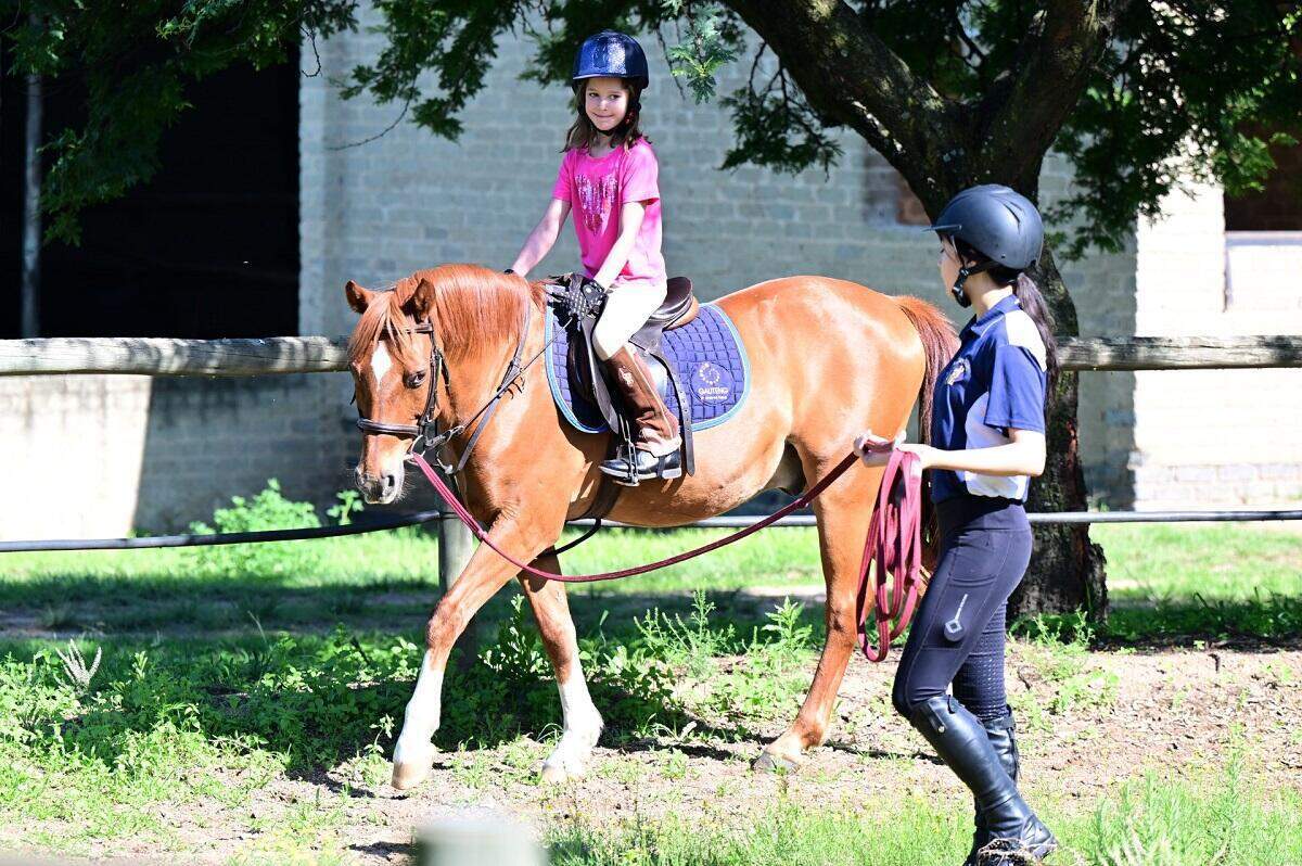 Sun Valley Stables