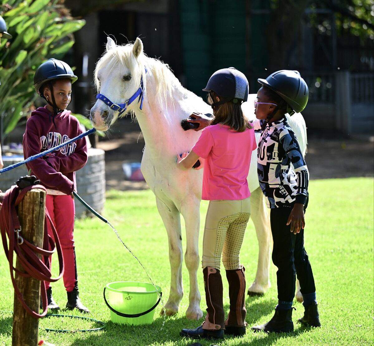 Sun Valley Stables