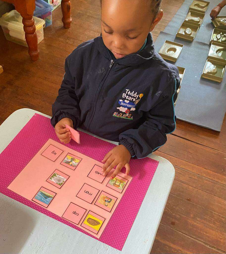 Teddy Bears Montessori