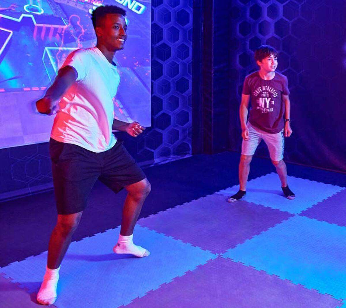 Total Ninja Interactive