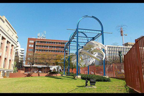 Transvaal Museum