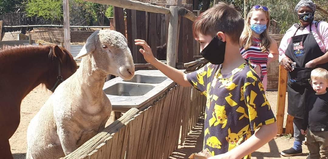 CrazyKidz Farmyard