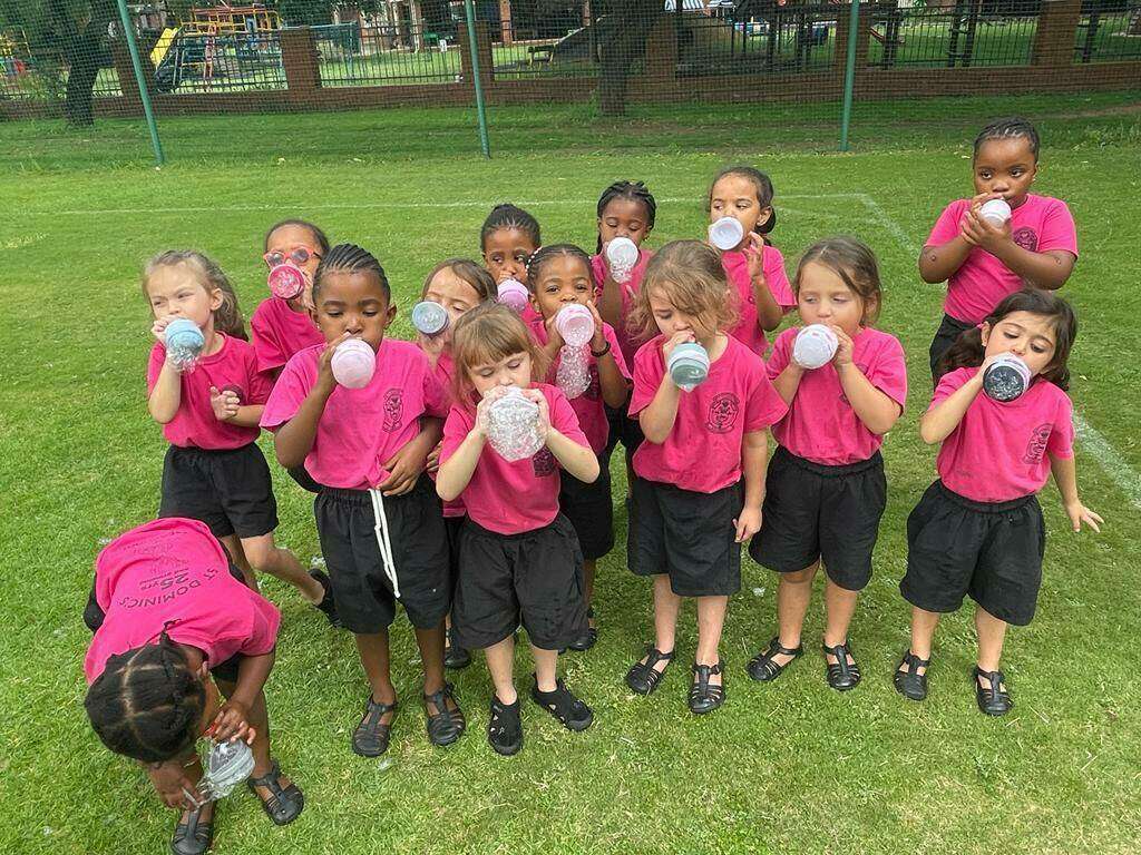 St Dominic's Catholic School for Girls Boksburg