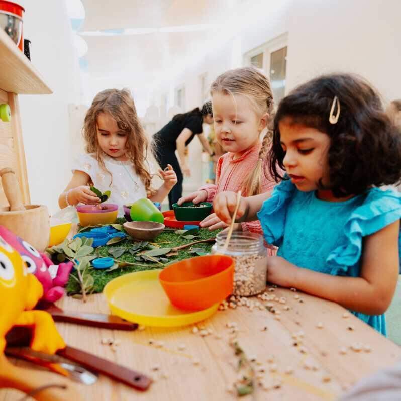 Dibber International Preschools